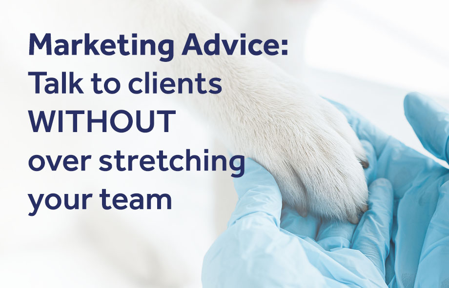 Marketing Advice: Talk to clients WITHOUT over stretching your team