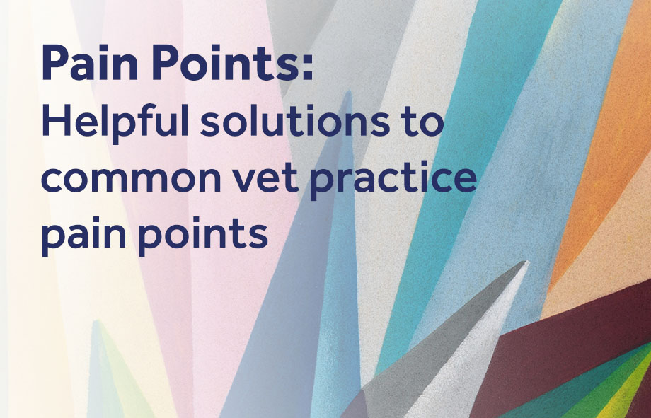 Helpful solutions to common vet practice pain points