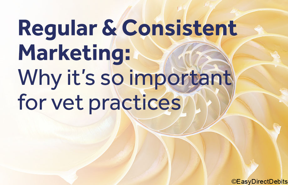 Why Regular and consistent marketing is so important - VetSuccess