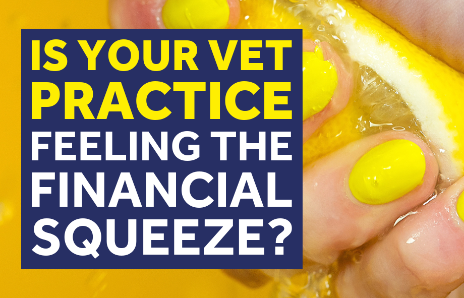 Is your vet practice feeling the economic squeeze yet? | VetSuccess